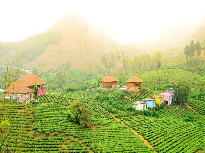 Moc Chau Arena Village, Mộc Châu