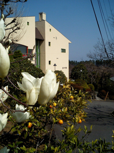 Hotel Minami-Kaikisen, Itō