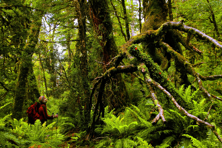 Puyuhuapi Lodge & Spa, Aisén