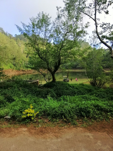 A&M Lodging House, Sagada
