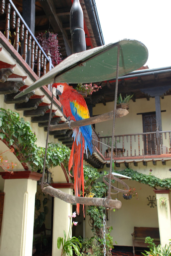 Hotel Museo Mayan Inn de Guatemala, Chichicastenango