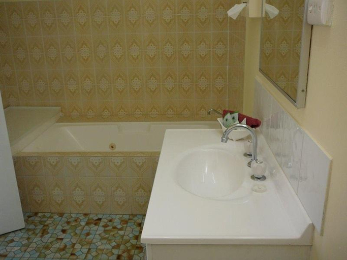 Bathroom 4, Glen Innes Lodge Motel, Glen Innes Severn