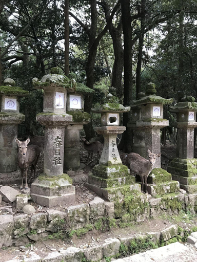 Exterior & Views 5, Ferie Nara, Nara