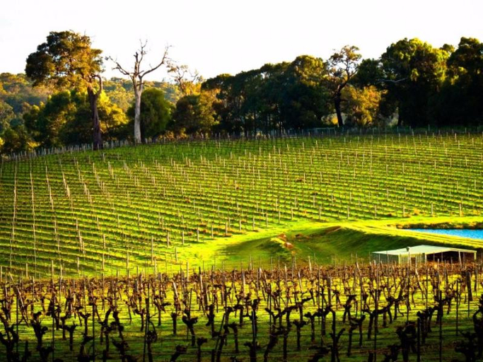 Exterior & Views 5, Margaret River Hideaway, Augusta-Margaret River