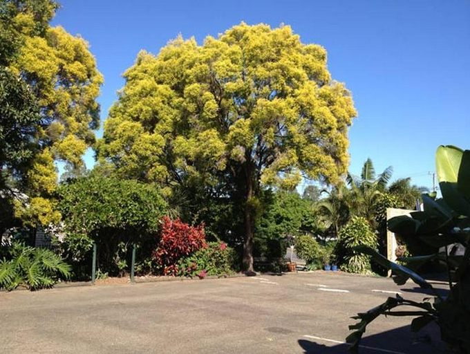 Exterior & Views, Ipswich City Motel, Ipswich - Central