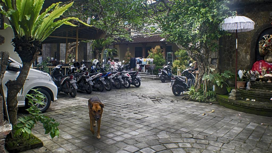 Exterior & Views, Lagas Hostel, Gianyar