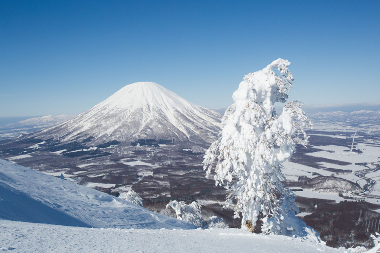 The Kamui, Niseko