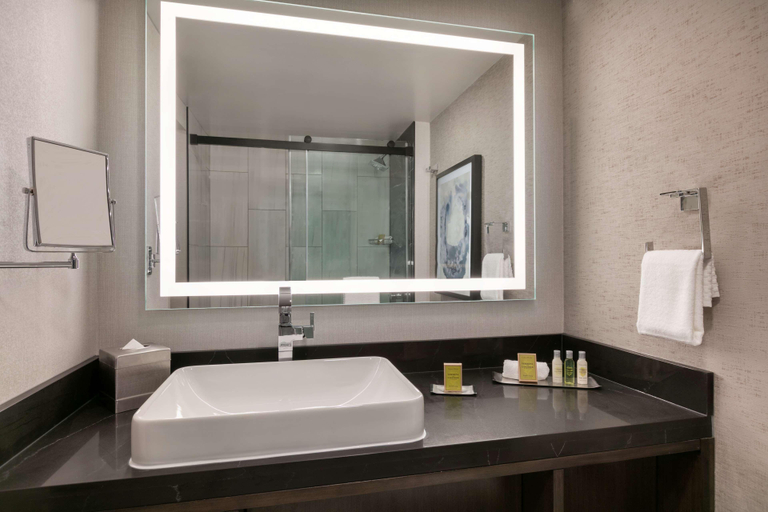 Bathroom 5, DoubleTree Hilton Washington DC North Gaithersburg, Montgomery