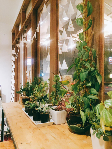 Exterior & Views 2, Rimnim Hostel Chiangmai, Muang Chiang Mai
