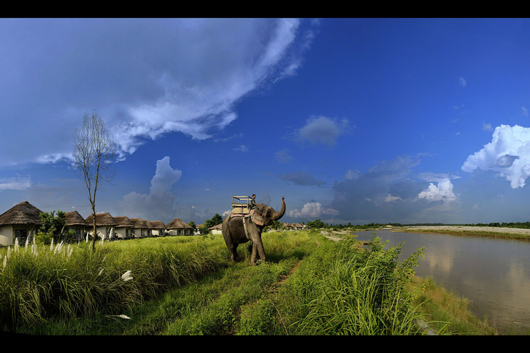 Barahi Jungle Lodge, Narayani