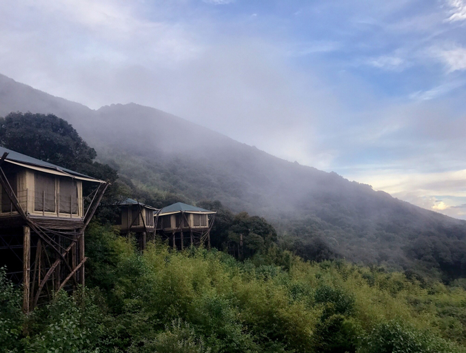 Vinetree Gaoligong Tented Resort, Baoshan