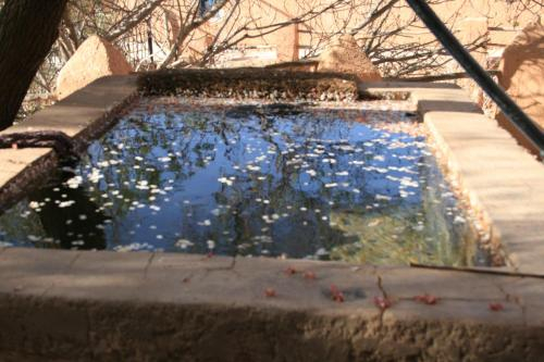 Unknown, Ecolodge Amskou Dades Kasbah, Ouarzazate