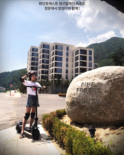 PINE FOREST, Jeongseon