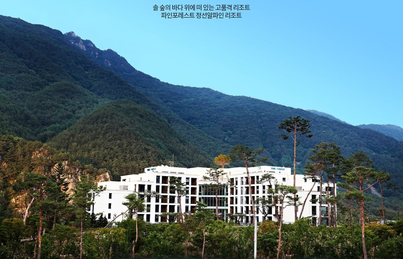 PINE FOREST, Jeongseon