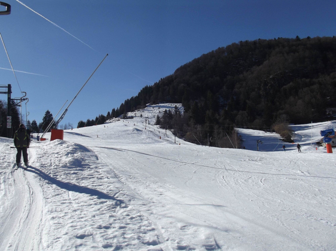 Others 5, Les Sapins, Vosges