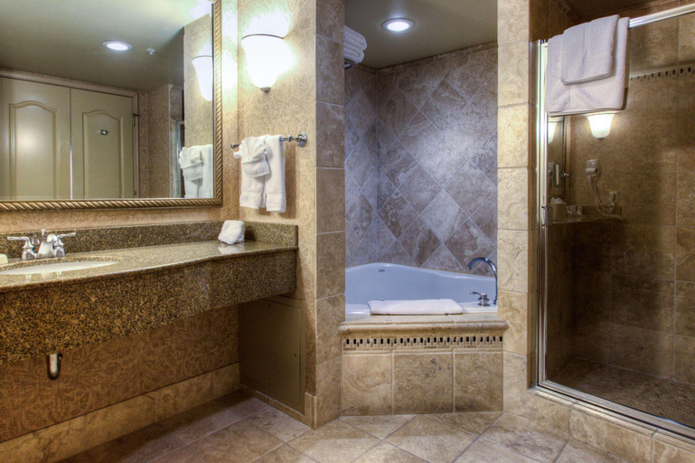 Bathroom 4, Hilton Garden Inn Boise/Eagle, Ada