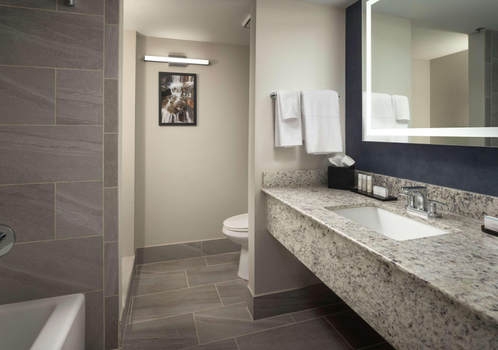 Bathroom 5, Embassy Suites by Hilton Tucson East, Pima