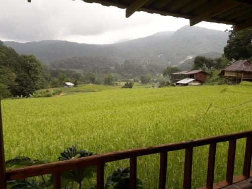 Inthanon Homestay, Chom Thong