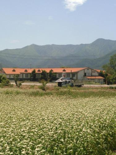 Horn Azumino, Azumino