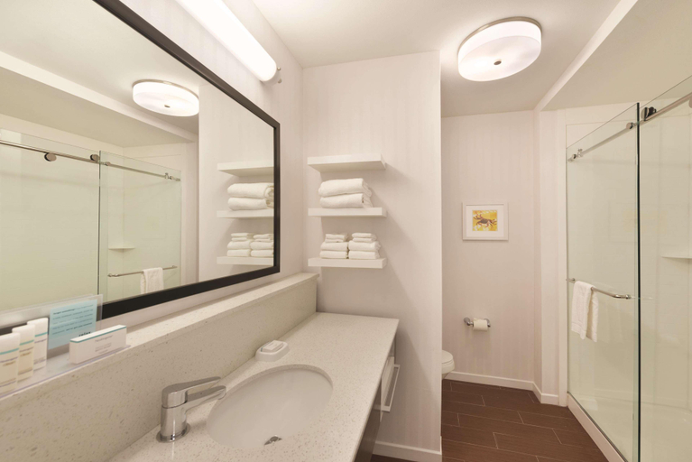 Bathroom 4, Hampton Inn & Suites Deland, Volusia
