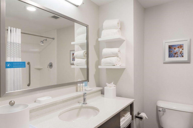 Bathroom 4, Hampton Inn Westfield, Hamilton
