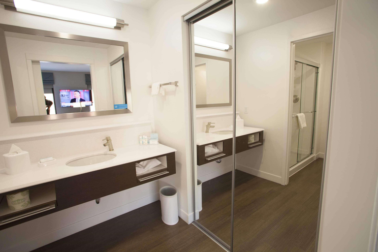 Bathroom 4, Hampton Inn & Suites St. Paul Downtown, Ramsey