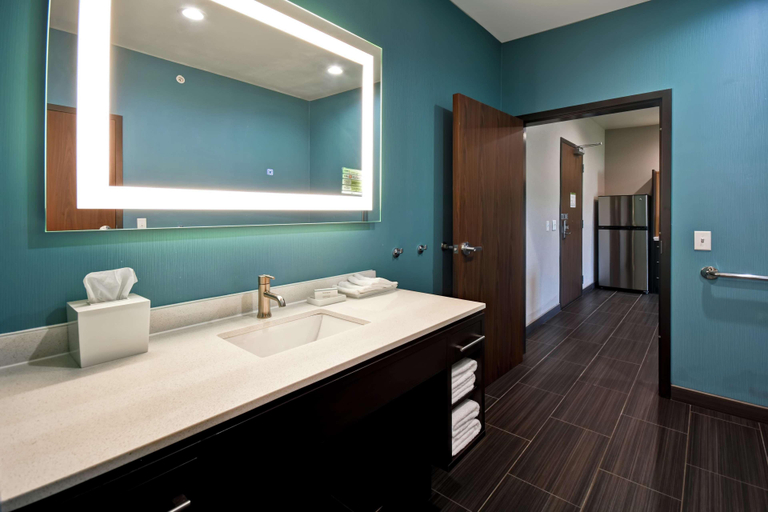 Bathroom 5, Home2 Suites By Hilton El Reno, Canadian