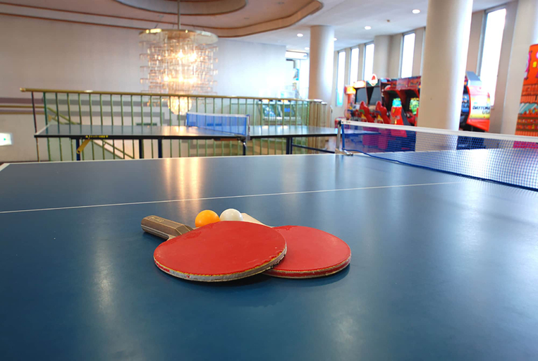 Public Area 2, Hotel New Akao, Atami