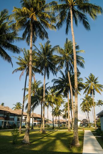 Living Asia Resort and Spa, Lombok