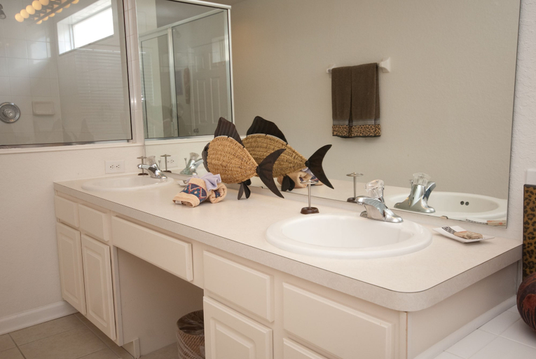 Bathroom 4, Disneyshome, Osceola