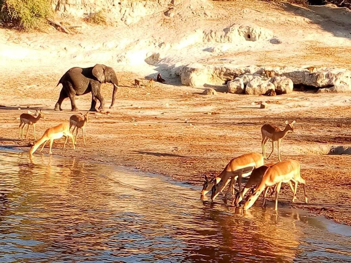 Amogelang Guest House, Chobe