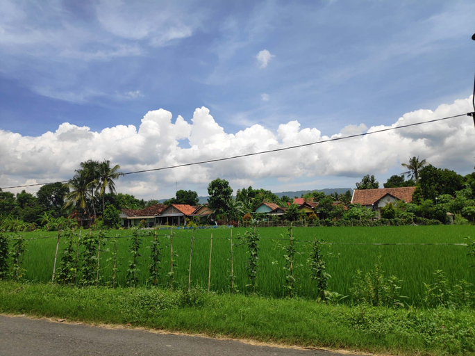 Akar Wangi 2 Homestay, Bantul