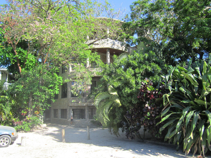 Coconut Tree West Bay, Roatán