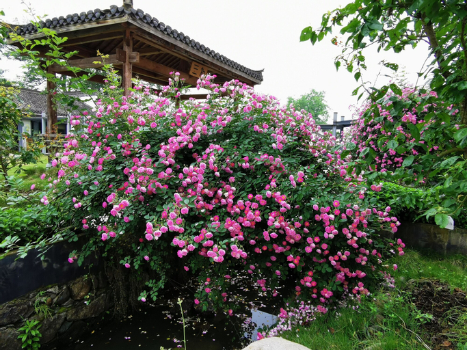 Huangshan Huizhou Creek Villa, Huangshan