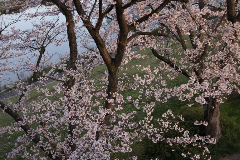 HOTEL DRESSY -Adults Only, Himeji