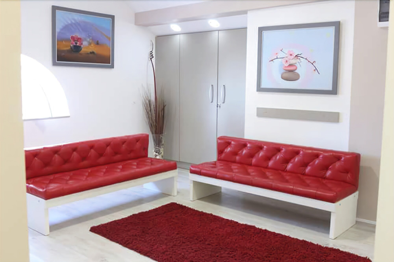 Vila Olivera Niska Banja, Niš