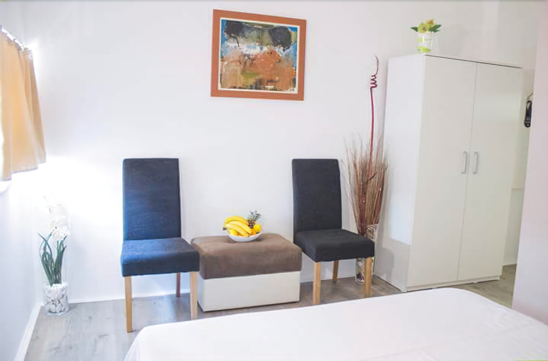 Vila Olivera Niska Banja, Niš