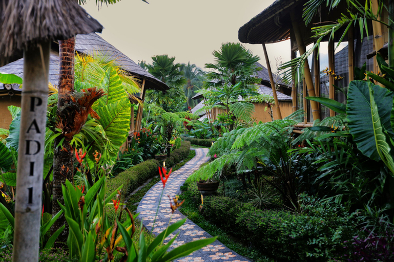Padi Bali Eco Villas, Gianyar