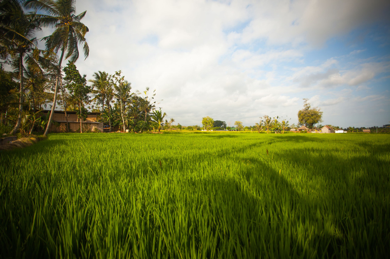 Anulekha Resort and Villa, Gianyar