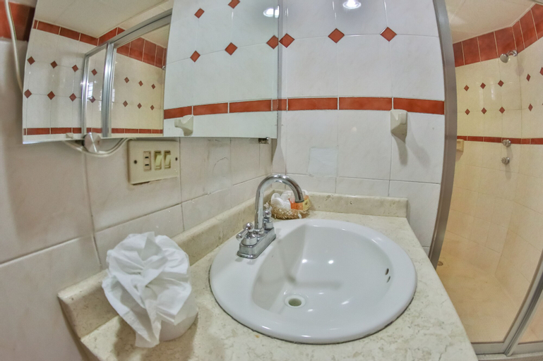 Hotel Báez Carrizal, Centro