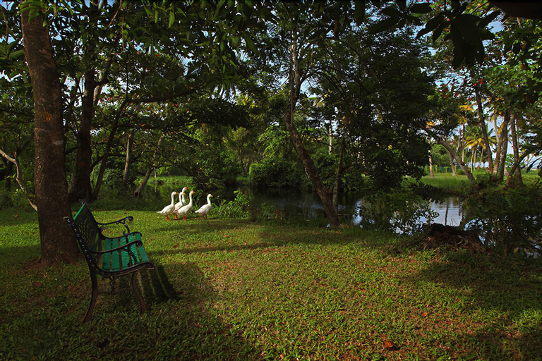 Abad Turtle Beach, Alappuzha