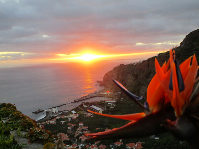 Seasky Tabua Apartment by MHM, Ribeira Brava