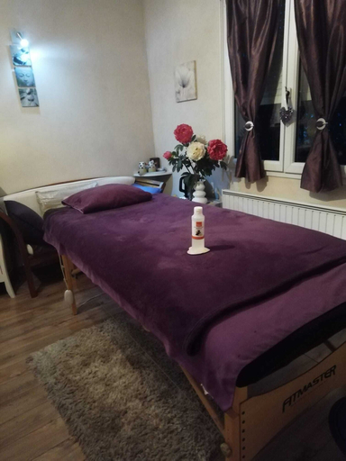 Bedroom 4, Chambre et Appartement Zen de Beauval, Loir-et-Cher