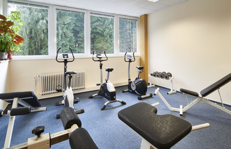 Wellness hotel Svornost, Semily