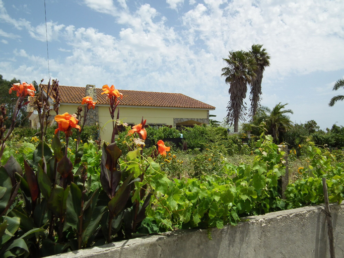 80s RetroStyle Villa, Lourinhã