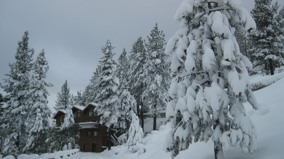 Tahoe Chaparral, Washoe