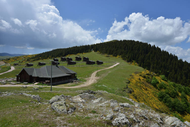 Birun Kumbet Dag Evi, Dereli