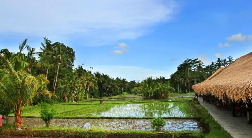 Sapulidi Resort Spa & Gallery Bali, Gianyar