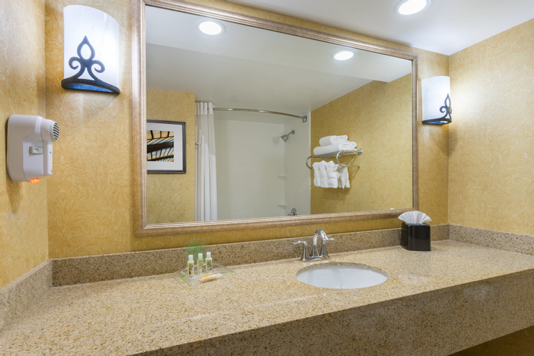 Holiday Inn Baltimore BWI Airport, Anne Arundel
