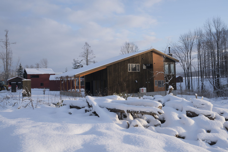 NEST AT THE TREES, NISEKO, Niseko